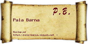 Pala Barna névjegykártya